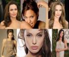 Angelina Jolie bir film ve televizyon oyuncusu, model, hayırsever, sosyetik ve BMMYK ABD için iyiniyet elçisi olduğunu.